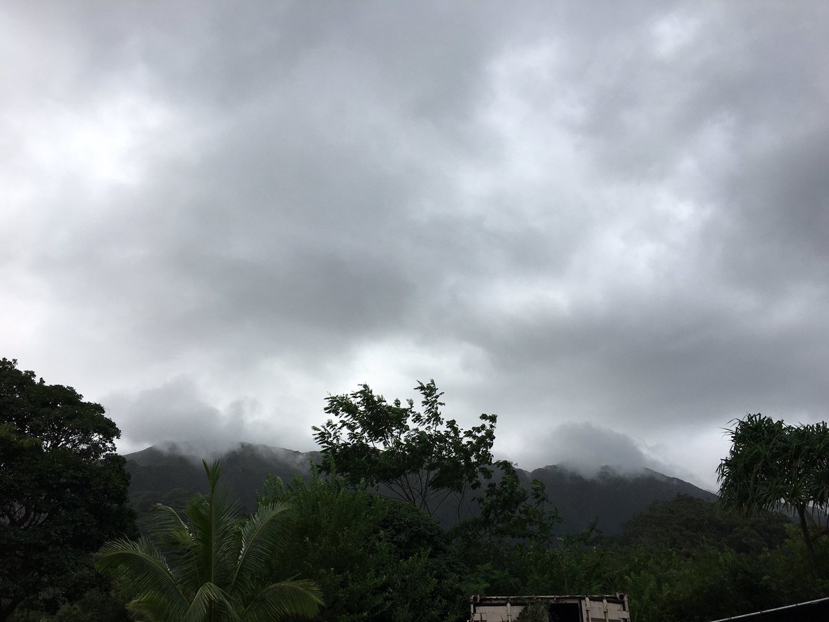 WaiaholeEl's tweet photo. Our students in our 21st Century Afterschool Program took a walk into Waiāhole Valley to make some observations at the Reppun ‘Ohana’s farm! Exciting things are happening! #waiaholees #smallschoolbigheart #smallschoolsmatter #smallschoolvoice #backyardlearning #HA https://t.co/dZyC25JmXl