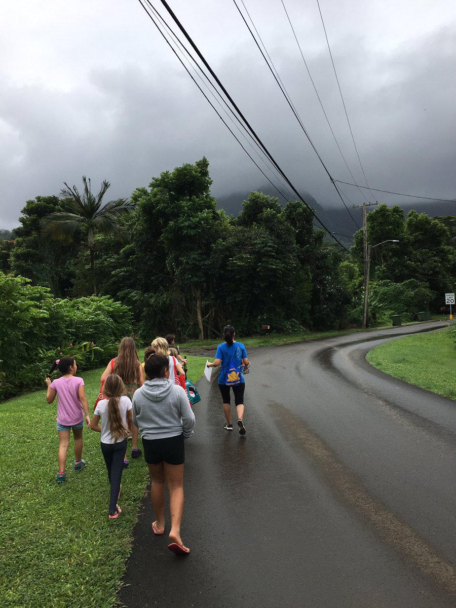 WaiaholeEl's tweet photo. Our students in our 21st Century Afterschool Program took a walk into Waiāhole Valley to make some observations at the Reppun ‘Ohana’s farm! Exciting things are happening! #waiaholees #smallschoolbigheart #smallschoolsmatter #smallschoolvoice #backyardlearning #HA https://t.co/dZyC25JmXl