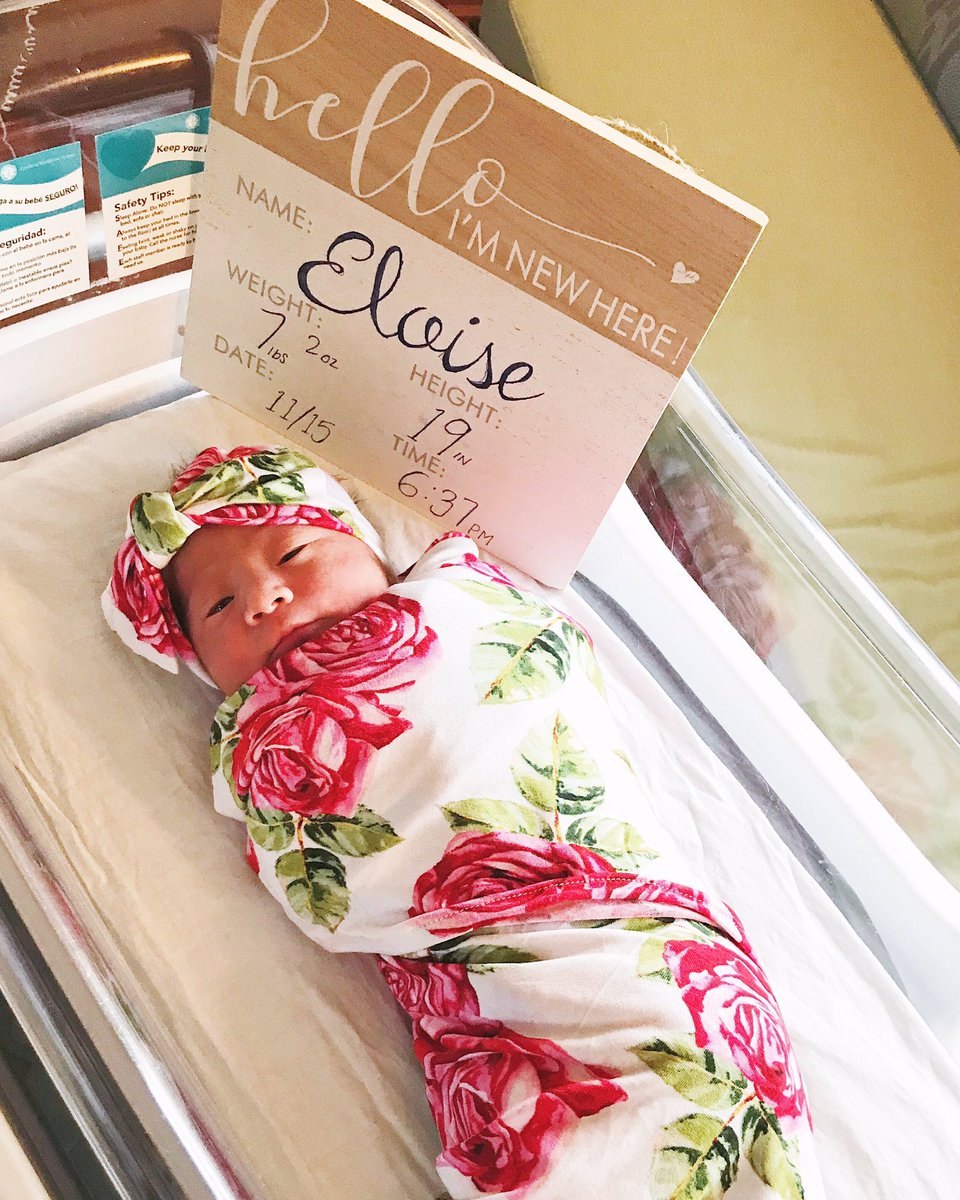 thebuenobunch's tweet photo. Introducing the perfect Eloise Rose, the new addition to our family 💕 https://t.co/CPkARwHjEH