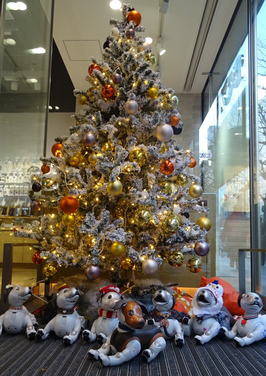 ソニーストア 札幌 今日はたくさんの Aiboのお友達が遊びに来てくれました みんな一緒にクリスマスツリーの前で ポーズを決めてくれましたね またみんなで遊びに来てくれるのを待ってます ソニーストア 札幌 今日はたくさんの Aiboのお友達が遊びに来てくれました みんな一緒にクリスマスツリーの前で ポーズを決めてくれましたね またみんなで遊びに来てくれるのを待ってます