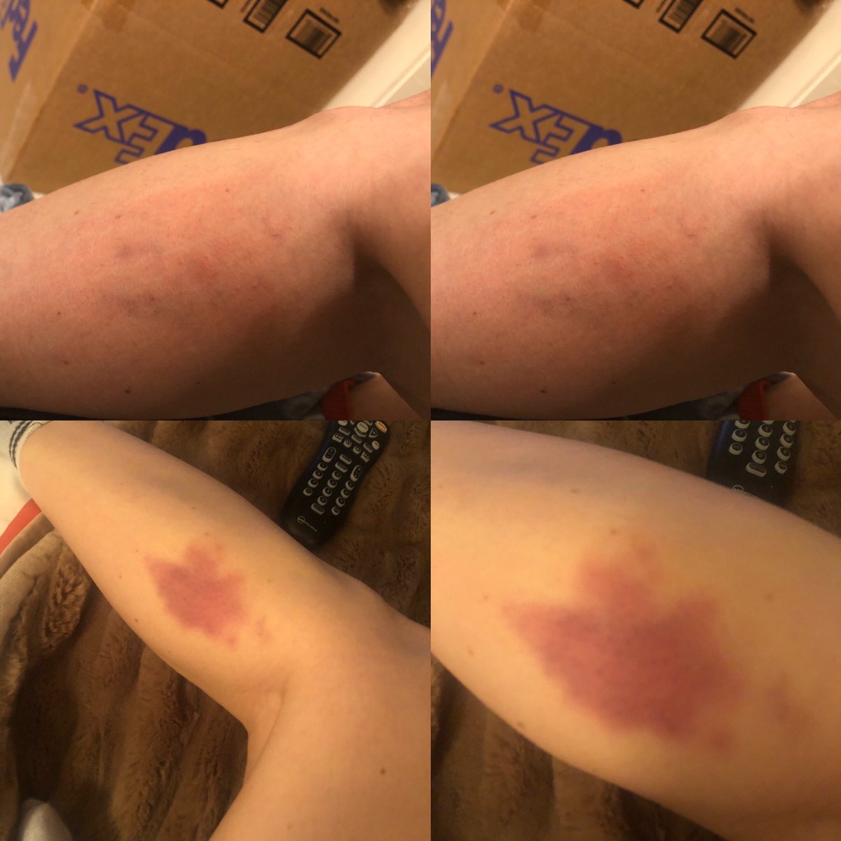 Sarah Silverman tweet media