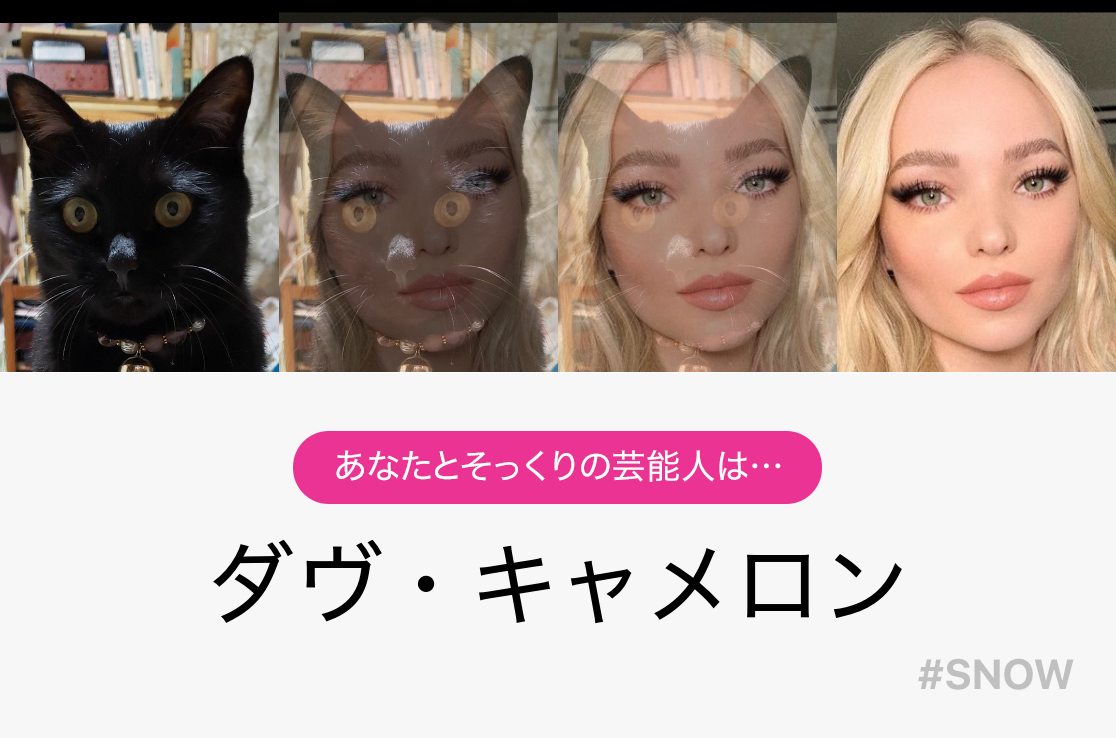 Snowそっくり診断 猫にそっくり 猫顔 の芸能人は誰だろう Twitter
