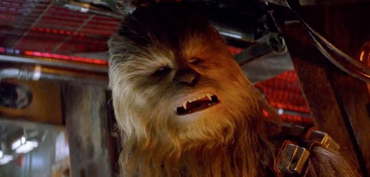 I think I’m the only person who cares about this so please bear with me. Chewbacca. As a kid, I LOVED Chewbacca in the original trilogy but I just can’t get behind this new Chewbacca. Chewbacca just doesn’t look like Chewbacca. I think it’s maybe the type of hair they’ve used.