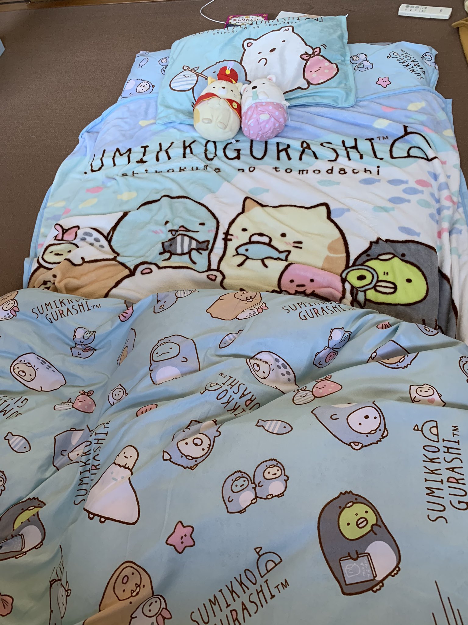 Shimacoco 今夜からすみっこぐらしまみれで寝ます 孫と 枕カバー ブランケット 布団カバーセットで00円 安いーー しまむら凄いーー しまむら すみっこぐらし T Co Aiyc68pg Twitter