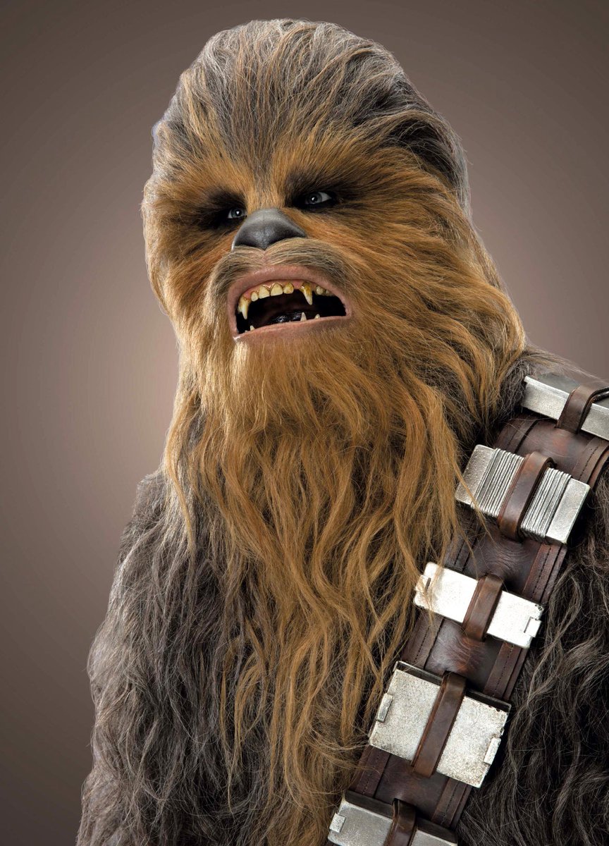 The colouring and the texture of the hair is all wrong. To me there’s REAL Chewbacca and FAKE Chewbacca. This is my ‘Paul is dead’.