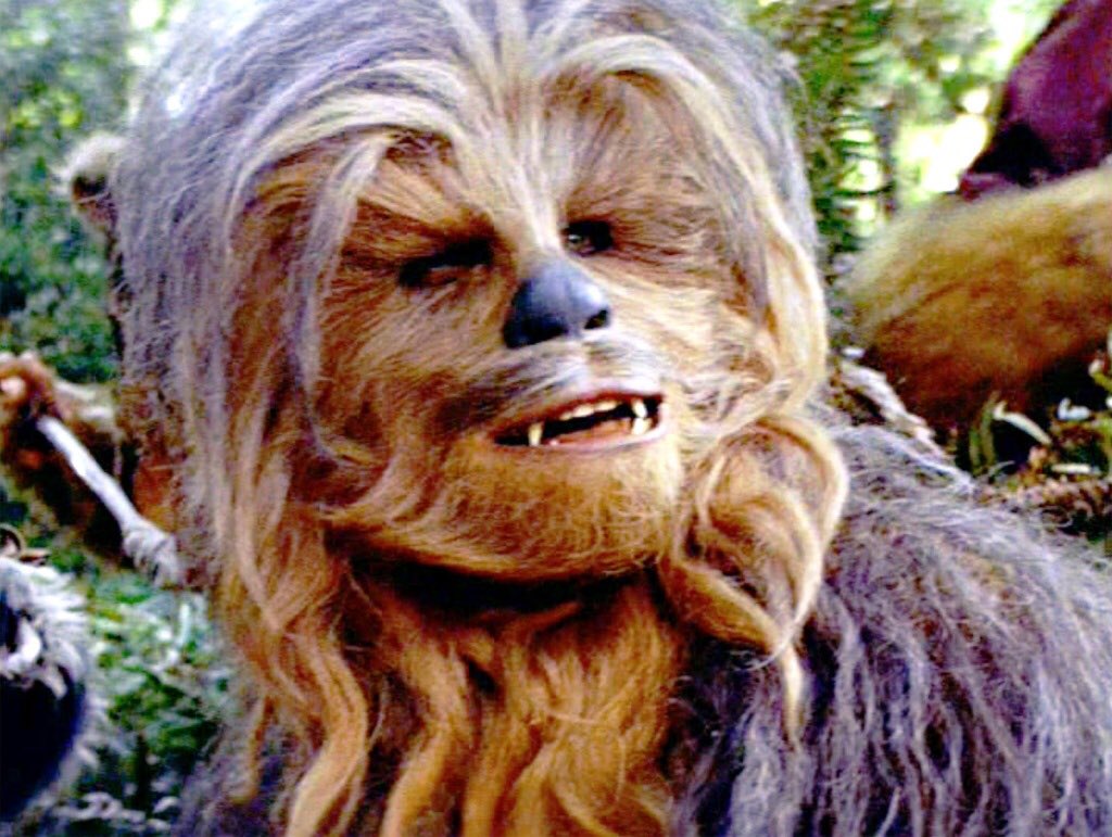 AND, in my extensive research I have realised that Chewbacca grew ‘curtains’ between Empire and Jedi. I bet Solo mercilessly ripped the piss out of him.