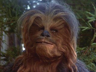 AND, in my extensive research I have realised that Chewbacca grew ‘curtains’ between Empire and Jedi. I bet Solo mercilessly ripped the piss out of him.