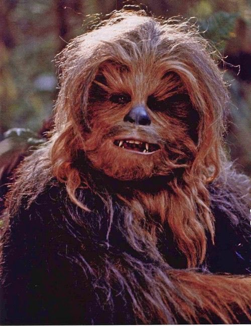 AND, in my extensive research I have realised that Chewbacca grew ‘curtains’ between Empire and Jedi. I bet Solo mercilessly ripped the piss out of him.