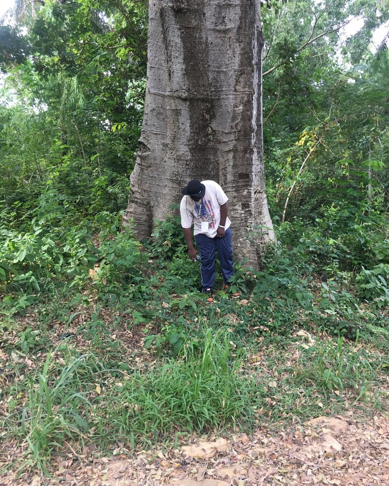 Apush_Bruh's tweet image. Good morning from #Defale
#BlohCamp228 
#BlogCamp
#FADEF
#DEFALE