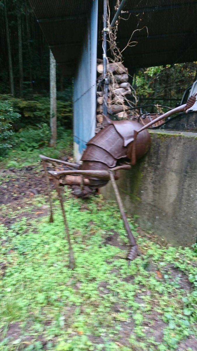 渡会 修 カマドウマ 便所コオロギ しかしよく出来でるわ 笑 カマドウマ 渡会 修 カマドウマ 便所コオロギ しかしよく出来でるわ 笑 カマドウマ