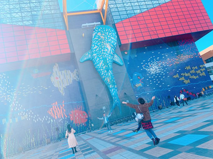 海遊館のtwitterイラスト検索結果 古い順 海遊館のtwitterイラスト検索結果 古い順