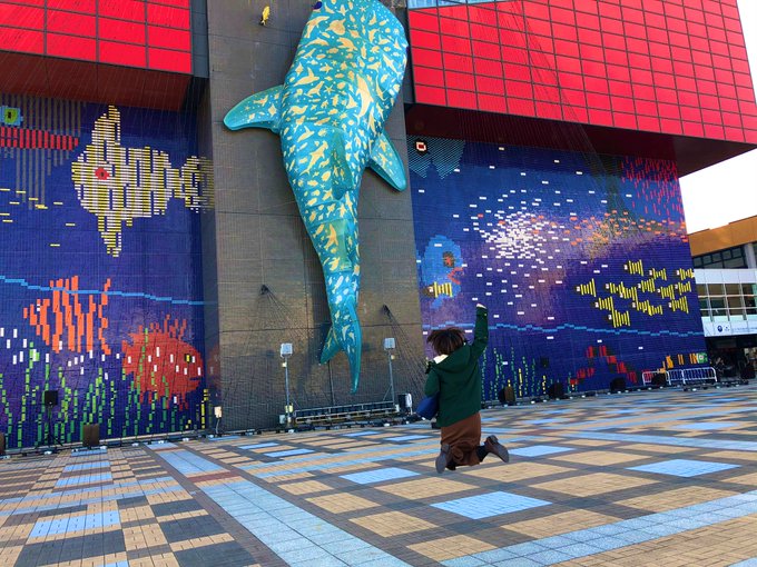 海遊館のtwitterイラスト検索結果 古い順 海遊館のtwitterイラスト検索結果 古い順