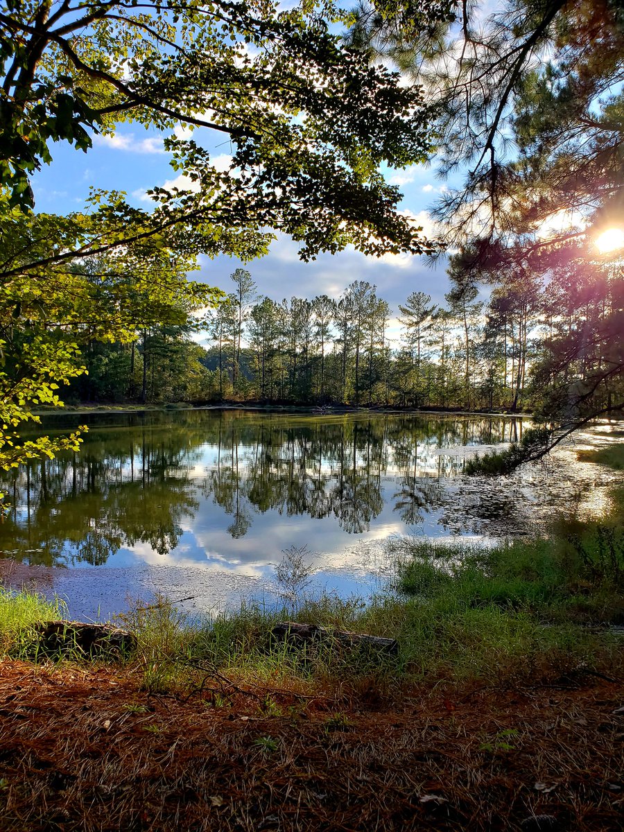 tami_2_u's tweet photo. Sorry, my last pic. I love nature, especially when the shadows all work together☺️💕💕💕#RidenWithTamz #BeautifulAlabama https://t.co/3tiBykopMO
