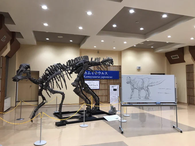 今日の板書。北海道穂別町での講演会の際、展示してあったカムイサウルスを見ながら描きました。 