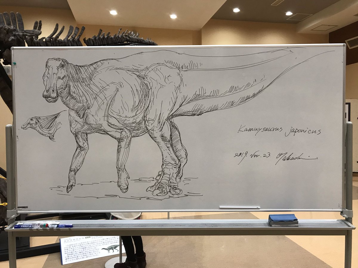 今日の板書。北海道穂別町での講演会の際、展示してあったカムイサウルスを見ながら描きました。 