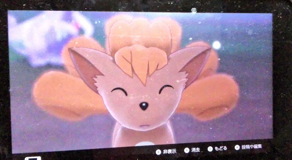 ルーテル ポケモン剣盾 シールドのサンと本日のやっくん