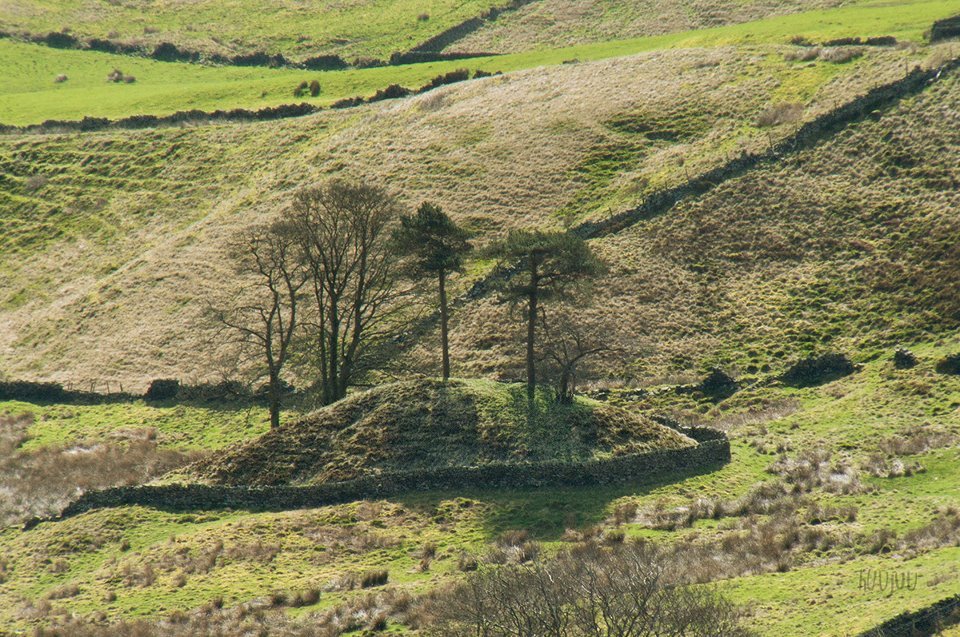 After the ice sheet retreated, tribes moved from Europe into the UK &amp; what are now the moors, bringing technology, agriculture and traditions.  Trees were cleared for farming, building &amp; smelting ore.  Traditional rock art &amp; megaliths were created reflecting their cultural roots