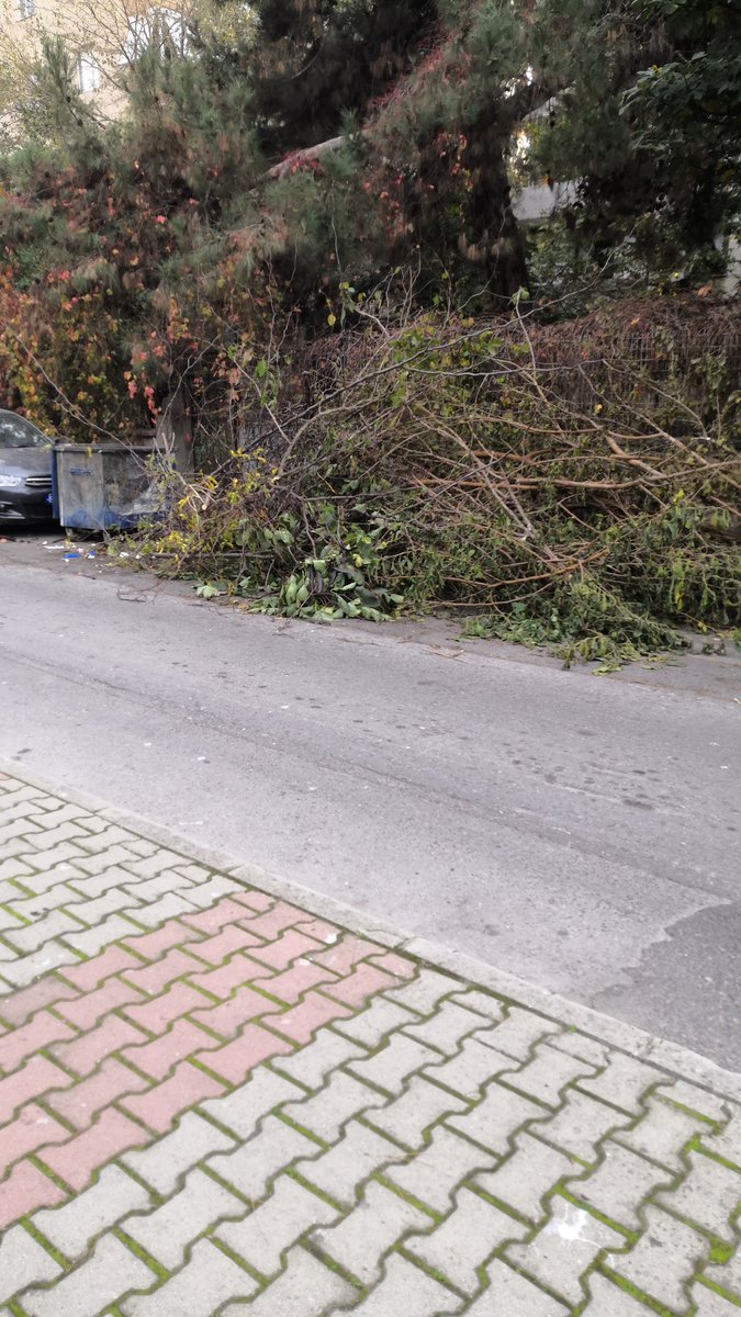 Bu budanan dallar ve çöp bidonu buradan hiç kalkmayacak mı <a href="/kadikoybelediye/">Kadıköy Belediyesi</a>