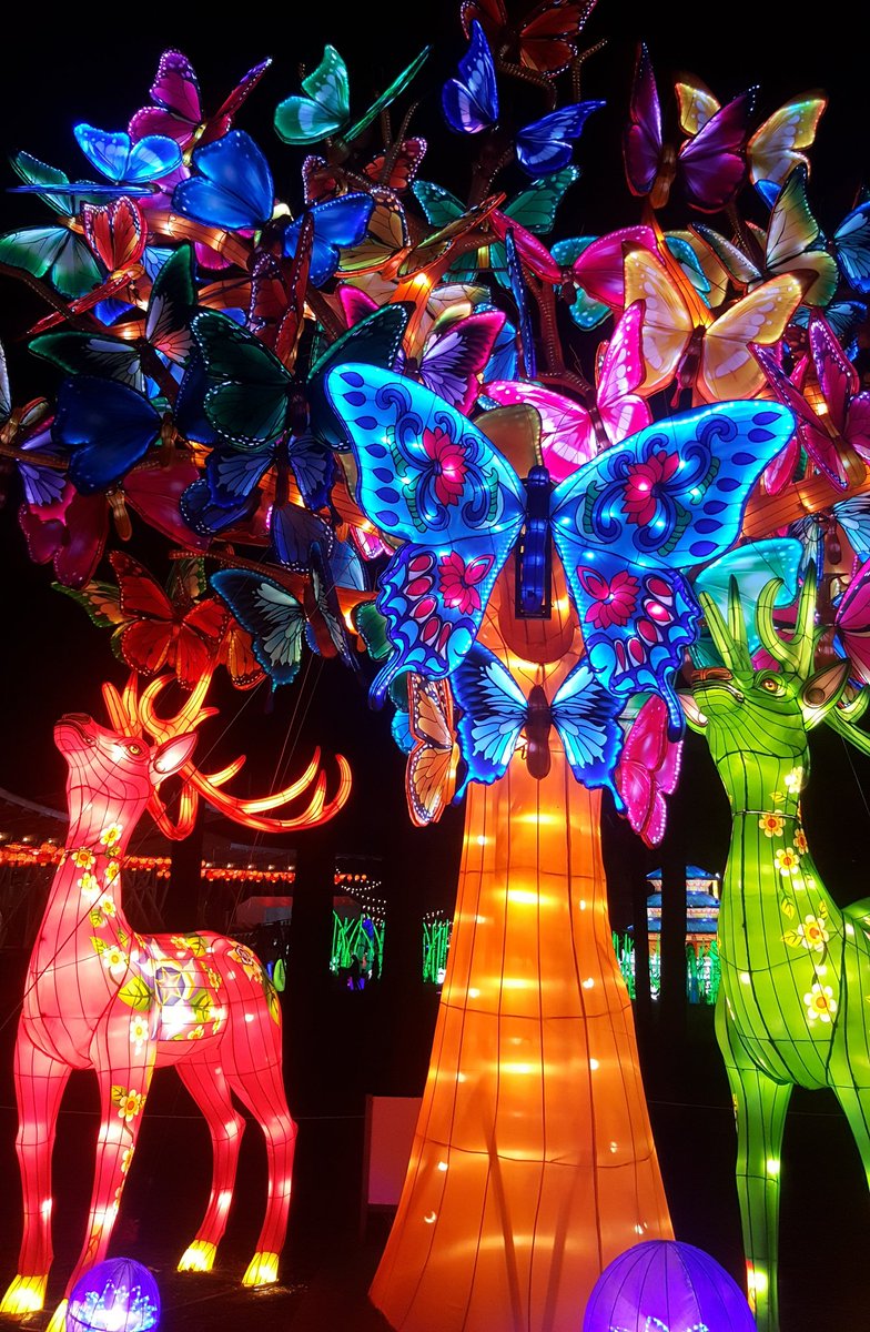 TriangleExplorer (@trianglexplorer) on Twitter photo Top Saturday picks: Raleigh Christmas Parade (look for breakfast burritos <a href="/Stateofbeernc/">State of Beer</a>) & tonight visit the Chinese Lantern Fest @BoothAmp w/ <a href="/NCBulkogi/">Bulkogi Korean BBQ</a> food truck! Top Saturday picks: Raleigh Christmas Parade (look for breakfast burritos <a href="/Stateofbeernc/">State of Beer</a>) & tonight visit the Chinese Lantern Fest @BoothAmp w/ <a href="/NCBulkogi/">Bulkogi Korean BBQ</a> food truck!