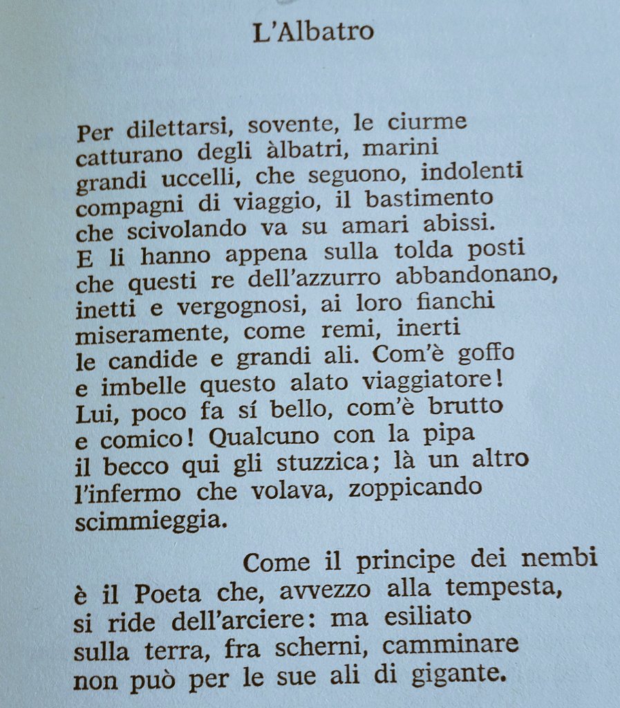 carolinasanter1's tweet photo. #albatro
Come il principe dei nembi è
il Poeta,che ,avvezzo allatempesta,
si ride dell'arciere:ma esiliato sulla terra,tra scherni ,camminare non può per le sue alidi gigante.
Come #ilfilosofo che torna nella caverna
#È
#arteÈPensiero
@il__filosofo @dominicipi
@domenicodifatta https://t.co/IXDQiwWrs0