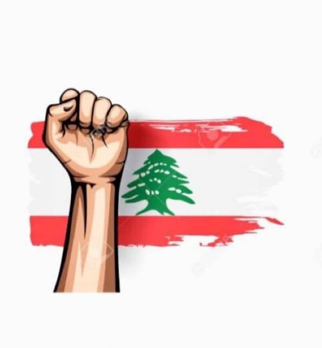 csrlebanon's tweet photo. For the first time in Lebanon's history, the Lebanese had plenty to celebrate this #IndependenceDay. Amazing photos of the first ever civil parade make you feel proud of our beautiful people and country!
#LebanonProtests #Lebanon https://t.co/HCeXCr2DLQ