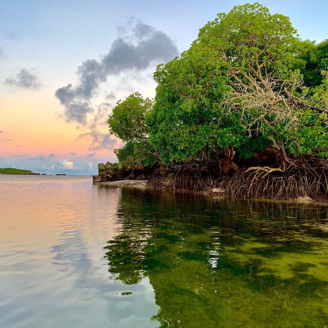 kenyapics's tweet photo. Rock and Sea Resort, Mida Creek, Watamu. https://t.co/pU2pOJERSt