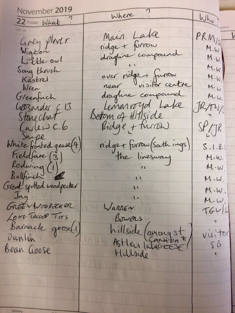 Jacquimoosey's tweet photo. Sightings for Friday #staidans include grey plover goosander white fronted goose Dublin as possible bean goose thanks to @SwillyIngsBG #Leeds #Yorkshire https://t.co/PPC3oE8zZS