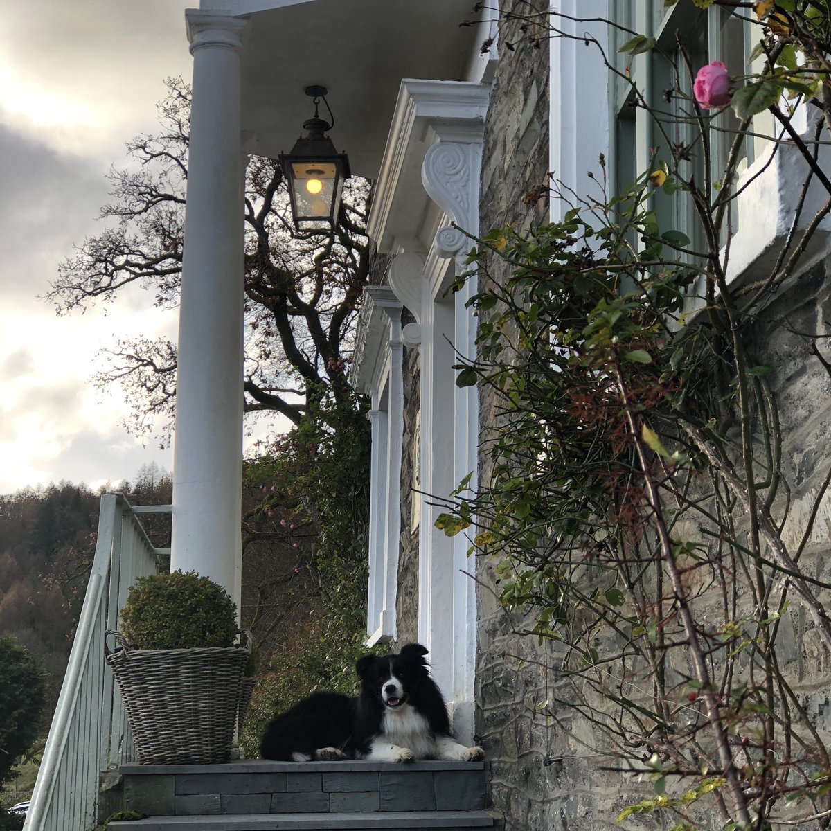 woolismybread's tweet photo. A great day in Lakeland guiding a “ Shepherdess Wool Walk “ beautiful base for clients. @eltermereinn @lakedistrictnpa 🐑🐑🐑🏔🏔🏔 https://t.co/sYicTmoIUj