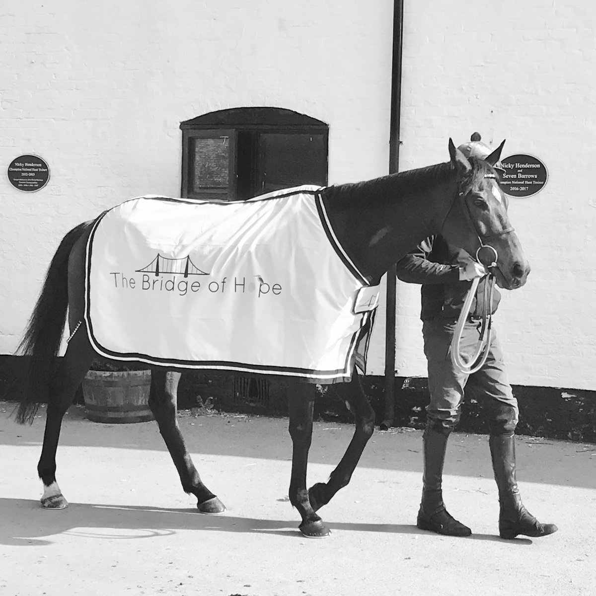 HopeInRacing's tweet photo. 👍 Nicky Henderson and Altior became Champions of The Bridge of Hope earlier this year and we're wishing them the best of luck at Ascot today!

#HopeInRacing #Champion #AltiorVsCyrname #Altior https://t.co/mWAQQj1PAP