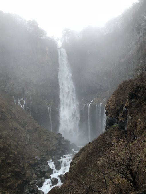 華厳のtwitterイラスト検索結果