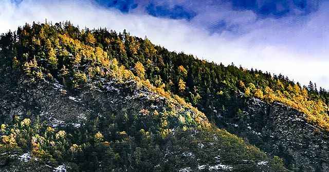r_grichting's tweet photo. Office with a View

#woods #nature #forest #trees #autumn #photography #naturephotography #outdoors #wood #landscape #tree #adventure #travel #green #mountains #art #sonyphotography #f2f #sonyalpha6000 #photooftheday #leaves #mountain #instagood #hike #s… https://t.co/nvTLfzfmDw https://t.co/4frULCbQun