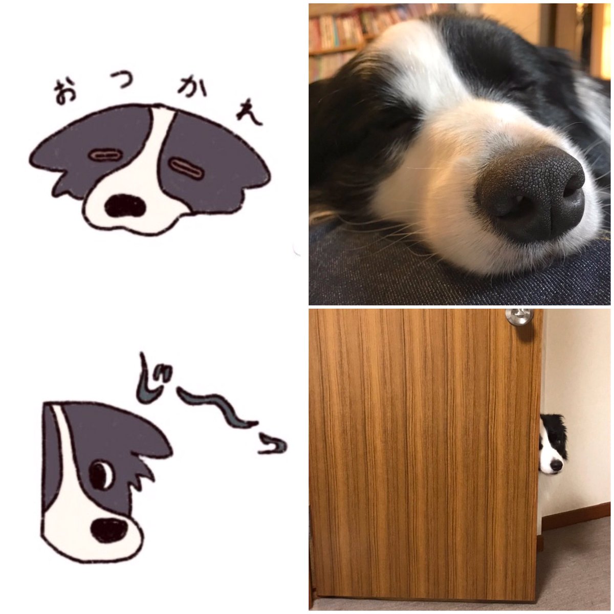 LINEスタンプは愛犬ルーカスの色んな表情から作ってます。
https://t.co/87oqrN6g7t 