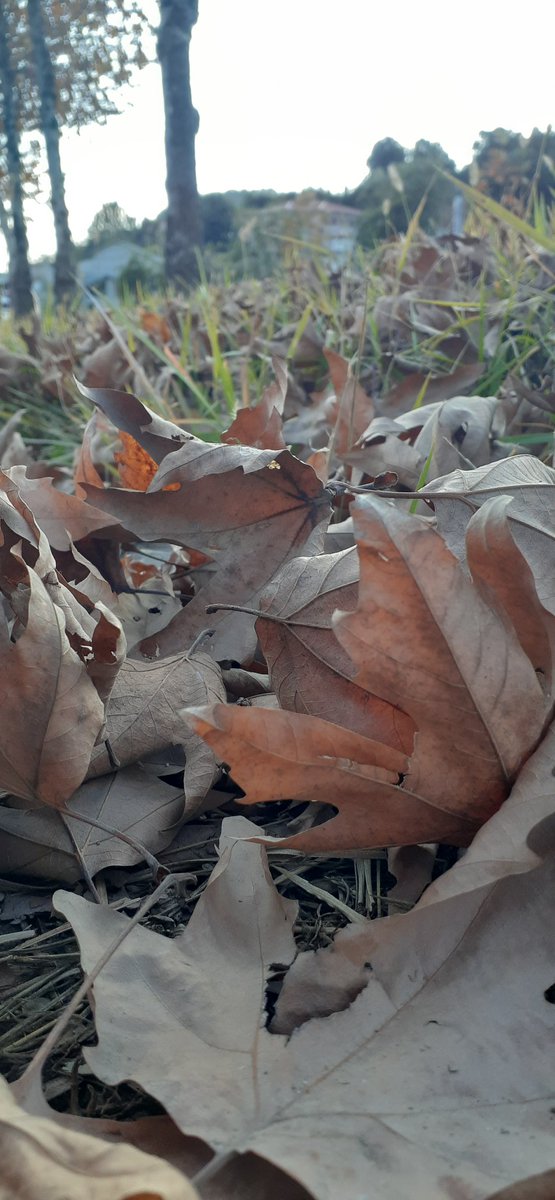 _iamsms's tweet image. #MAHOOL❤🖤