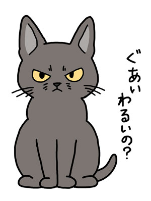 Switchの立ち上げにかまけて猫様のご夕食を30分ほど完全に忘れていたら、逆に心配そうな顔でこちらを見ていた。 