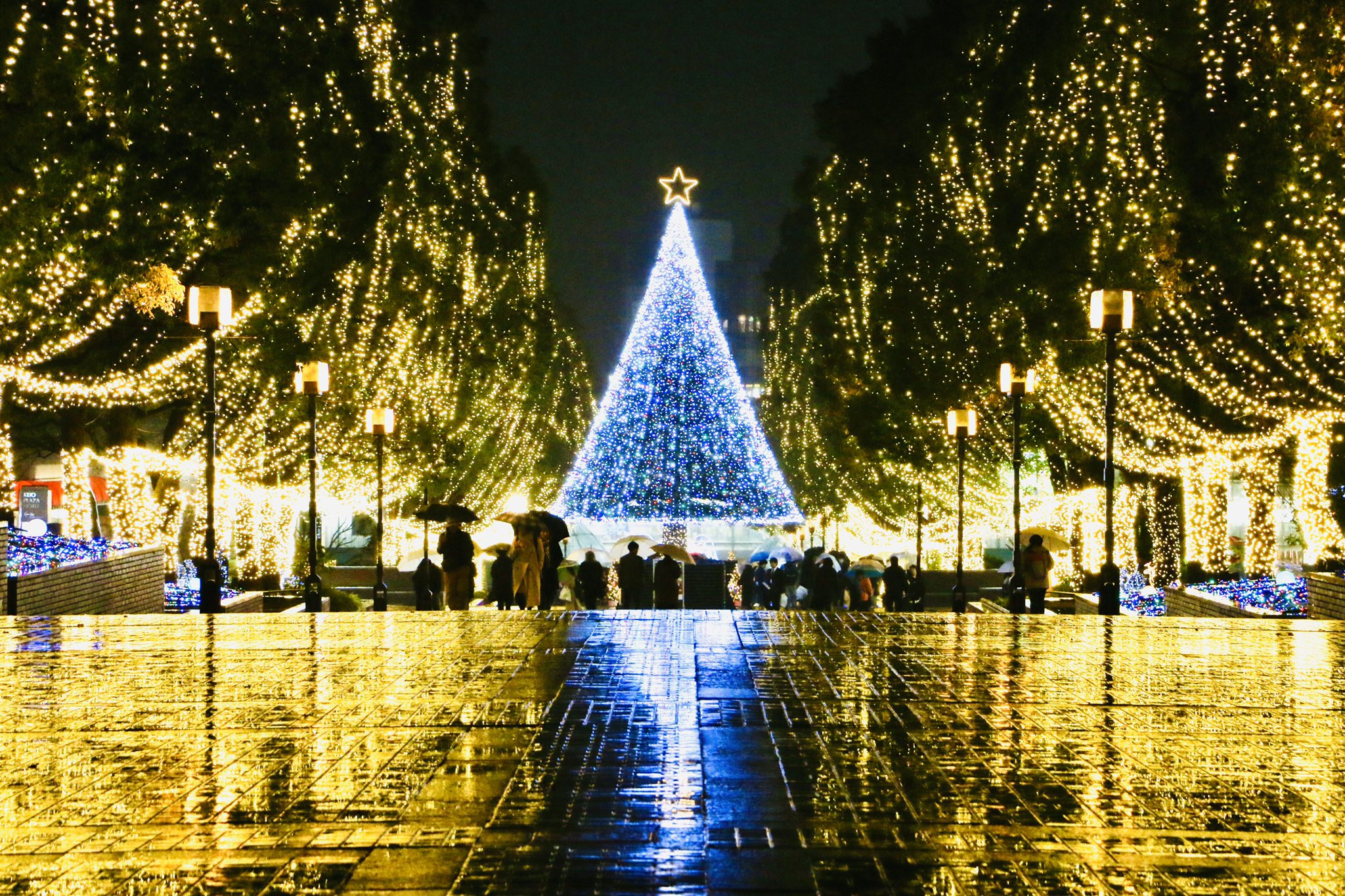 多摩ポン 雨の日のイルミネーション も幻想的で素敵 多摩センター 多摩市 多摩センターイルミネーション Illumination T Co Il2ezcp7e4 Twitter