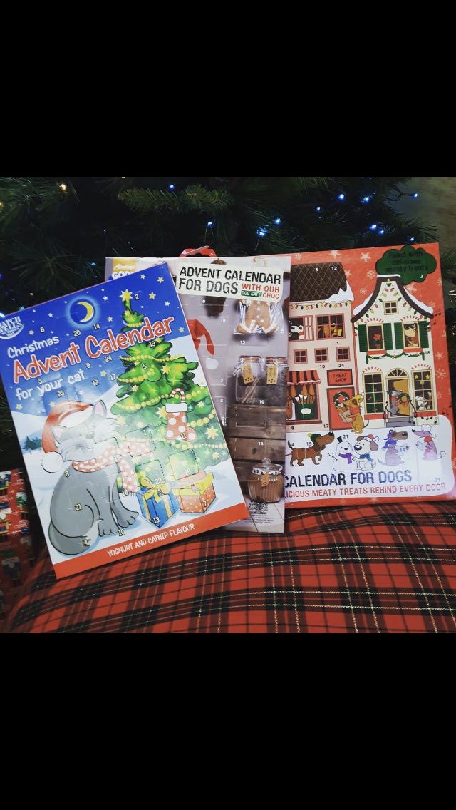 PET_SHACK_DELI's tweet photo. #sefton #LIVERPOOLNo1 #petdeli #natural #rawfood #dogdiet #rawspecialist #realdogfood #furrytreats #caninenutrition #canineraw #speciesappropriate #gundogtrainingequipment #doggysupplements #christmasdogsofinstagram #petfooled @easyrawdogfoodco @henleyrawdogfood @feednaturaw  (2) https://t.co/1PHwUrIAxm