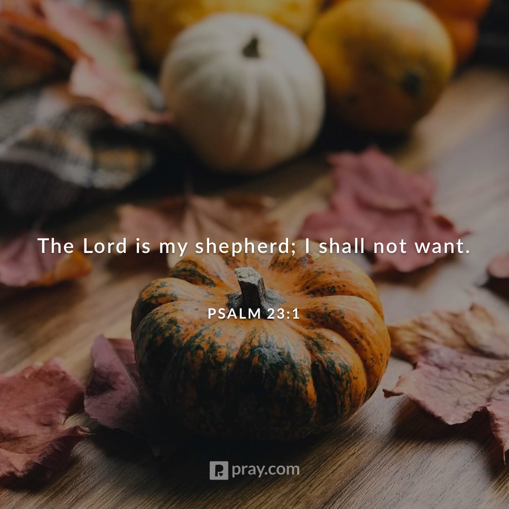 link.pray.com/lnPiqgSEQ1