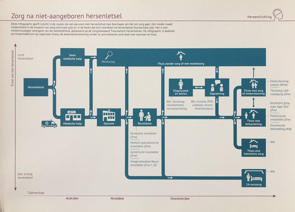 TanjaNijboer's tweet photo. Mooie infographic over zorg na niet-aangeboren #hersenletsel #NAH @hersenstichting https://t.co/X1vCyngwOG