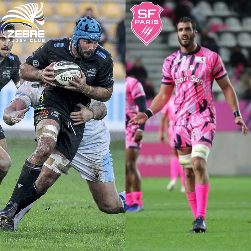 Zebre Parma 🦓 tweet media