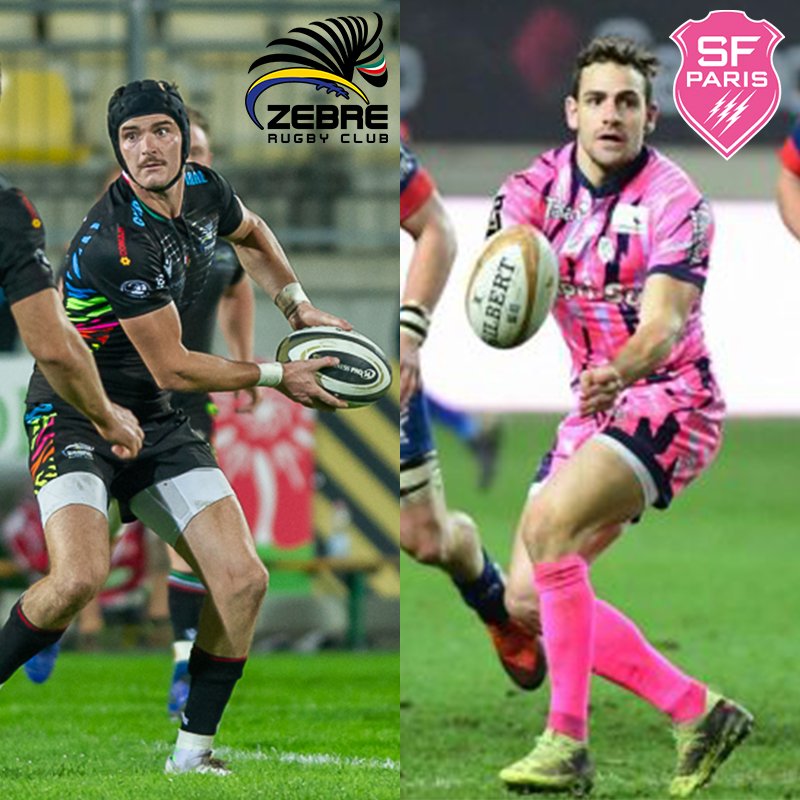 Zebre Parma 🦓 tweet media