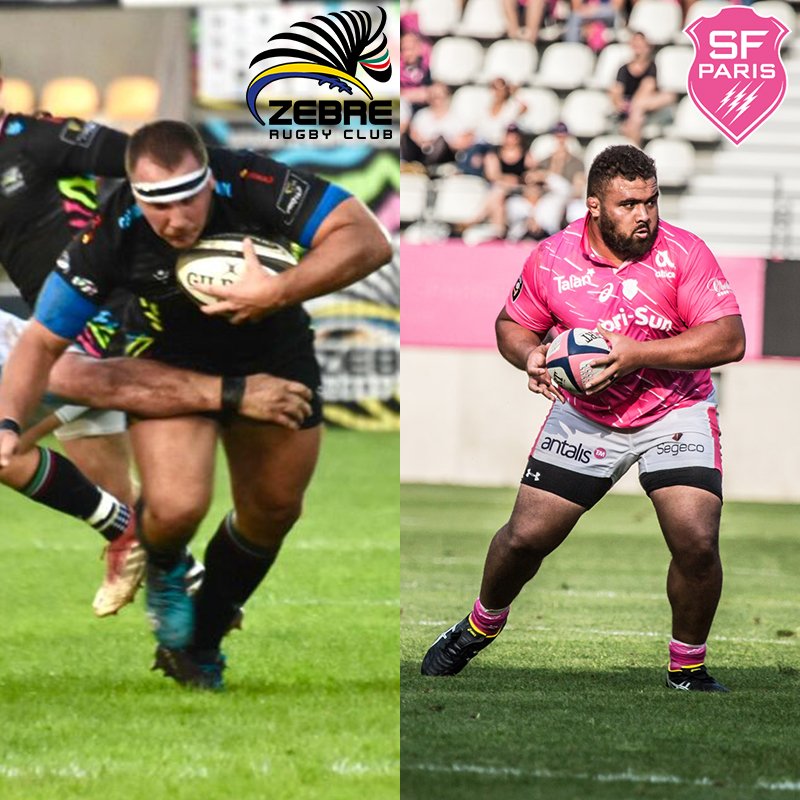 Zebre Parma 🦓 tweet media