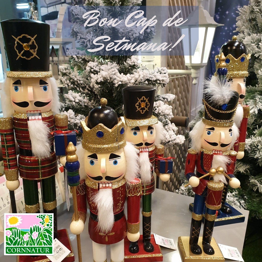 gardencornella's tweet photo. #gardencornnatur #tecsalsa #cornelladellobregat #Christmas https://t.co/Izfa1V4Q3G
