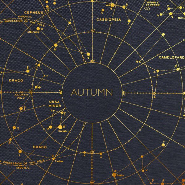 Playlist: half an hour of autumnal tunes that have been on constant rotation in the studio. By the light of the SAD lamp. 

Listen: rjbirkin.co.uk/news/autumn-pl…

#spotify #playlist #autumn