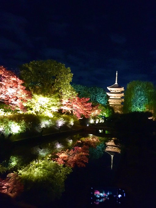 東寺の紅葉ライトアップの時間と混雑は 水面に映りこむ紅葉と五重塔が絶景 かなり穴場 Something Plus