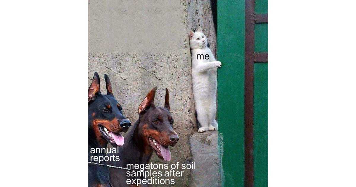 The reasons for our absence.