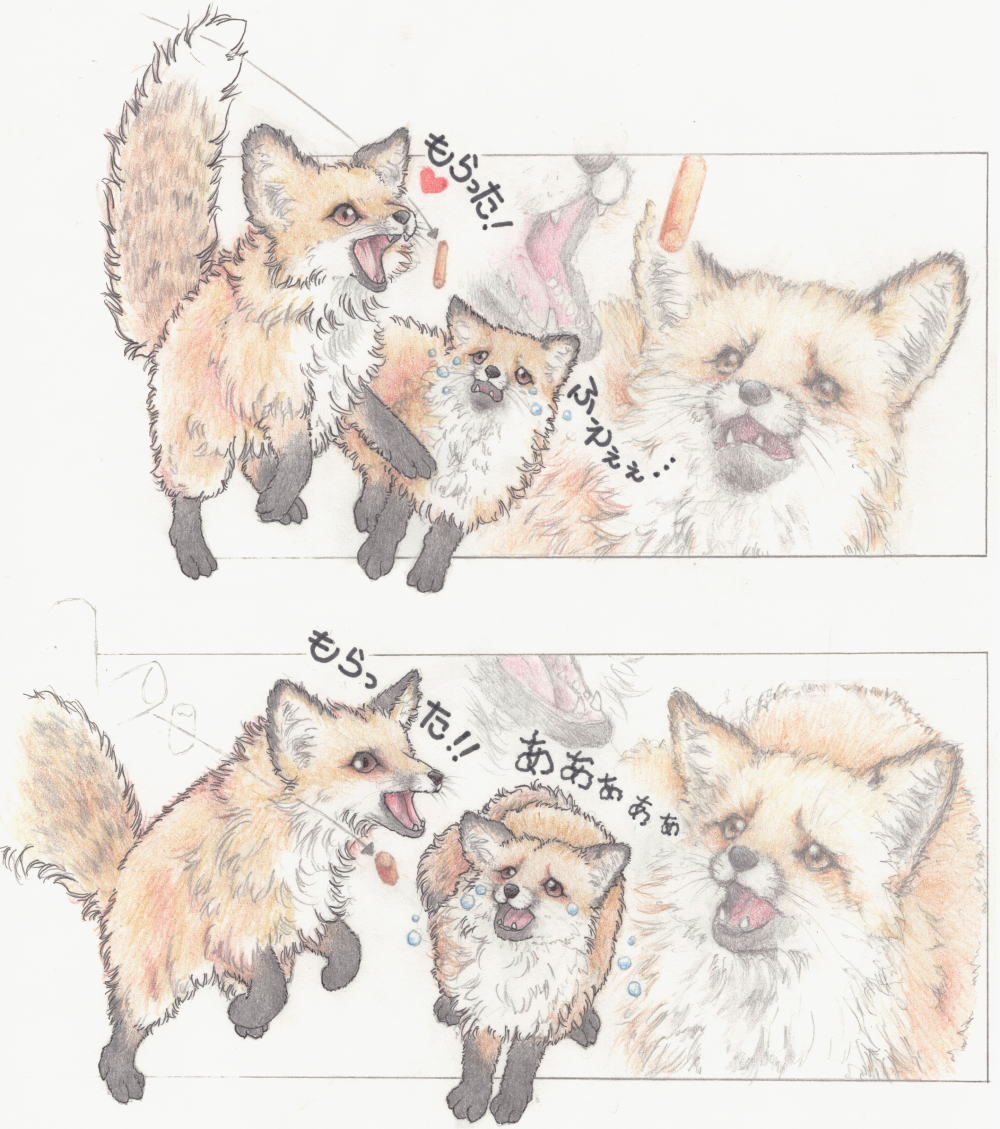 ふえぇぇ あぁぁぁぁぁ 人間みたいな困り顔をするキツネの写真がかわいそうかわいい Togetter