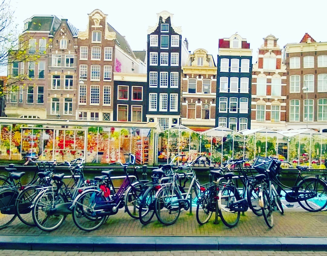 ExploreTactics's tweet image. Want a bike ride🚲 in Amsterdam ? 🇳🇱