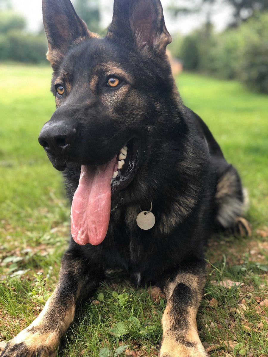 kenworthy39's tweet image. New to Twitter and looking cute @TPDARNIE
 please follow RT! #PSFM