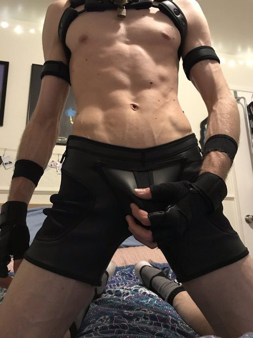 Thank you all for 700! This pup aims to please 🖤  Even more photos coming soon 😉 https://t.co/TvdoDZ