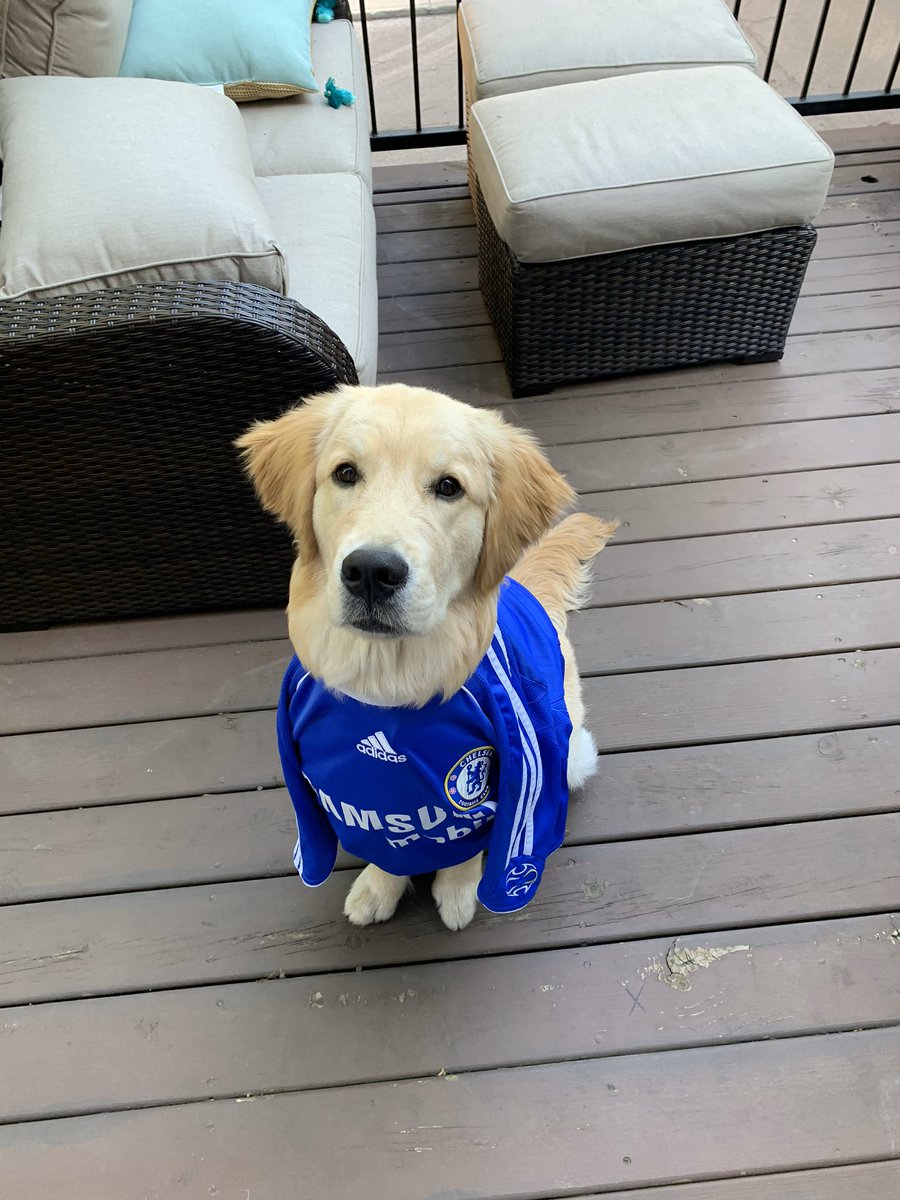 LattMeonard's tweet photo. @NBCSportsSoccer come on BLUES!!! #MyPLMorning https://t.co/Rap4xriabs